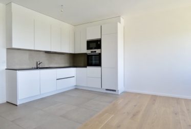 Bel appartement rénové, vue lac