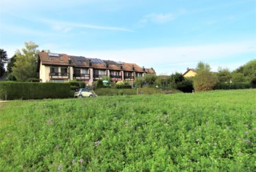 Aux portes de Lausanne, jolie maison en bordure de zone agricole !