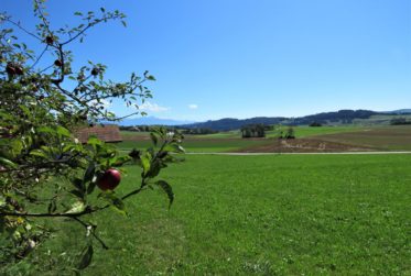 Maison individuelle avec magnifique vue, parcelle de 1'131 m2