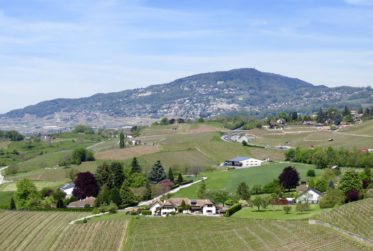 Bel appartement rénové, vue lac