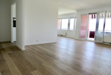 Bel appartement rénové, vue lac