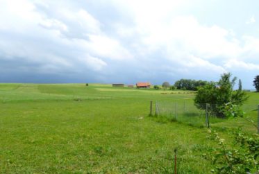 Charmante maison villageoise, en bordure de zone agricole !