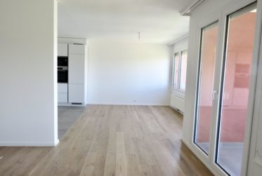 Bel appartement rénové, vue lac