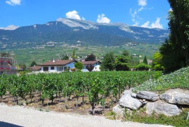 En bordure de zone viticole, magnifique villa neuve !