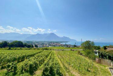 Entre Lac et Vignes - Charmante maison villageoise avec potentiel d'agrandissement !