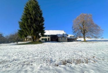 Ferme villageoise - Parcelle de 2'578 m2 en zone village !