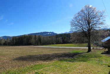 Ferme villageoise - Parcelle de 2'578 m2 en zone village et gros potentiel d'agrandissement !